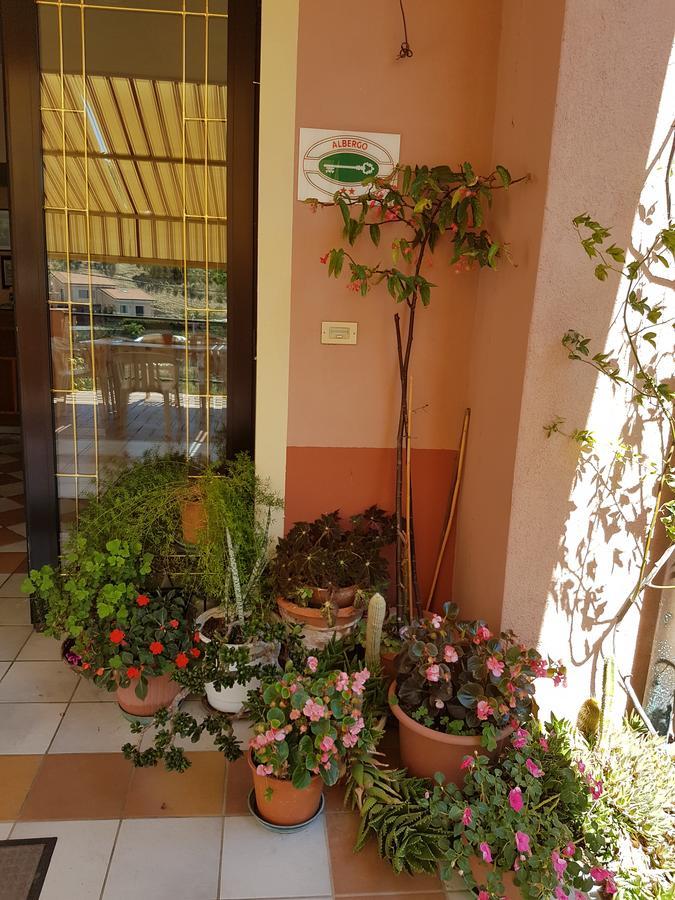 La Margherita 2* Diano Marina
